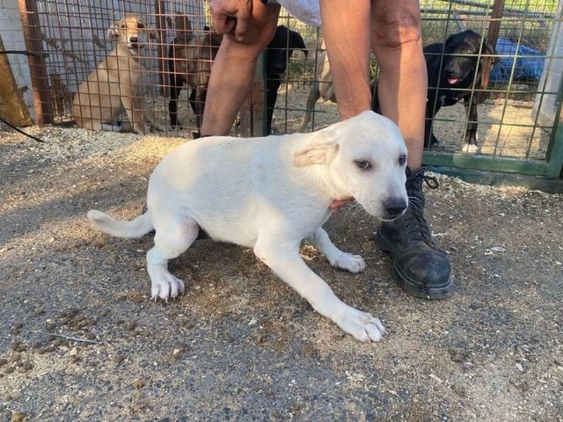 Naomi, aufgeweckt und aktiv