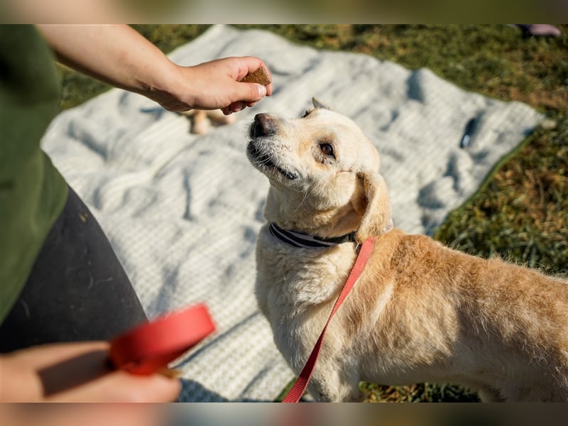 Haribo, arme Socke möchte nochmal glücklich sein