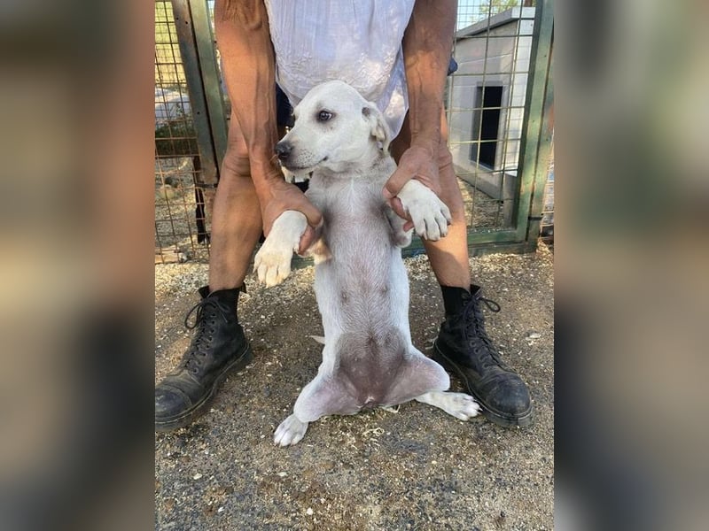 Naomi, aufgeweckt und aktiv