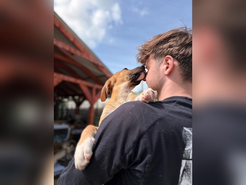 Dobby möchte die Welt entdecken