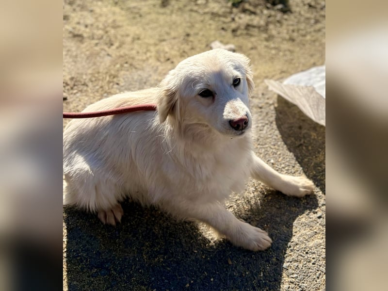 Marie, süße Maus freut sich auf eine eigene Familie