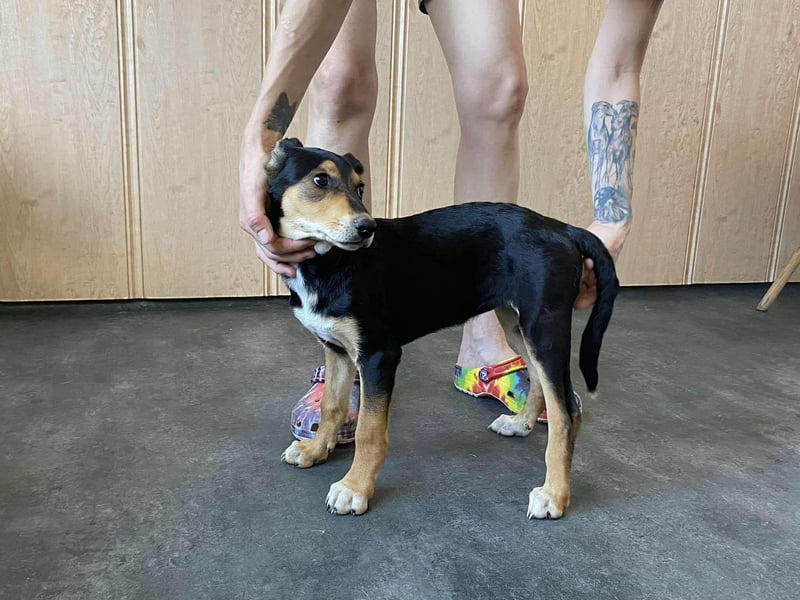 Tilda freut sich auf  dich!