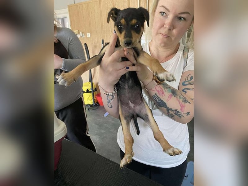 Tilda freut sich auf  dich!