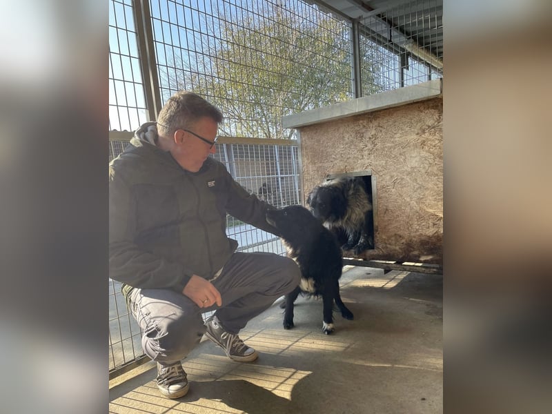 Morzsi, freundliche Seniorin sucht warmes Plätzchen