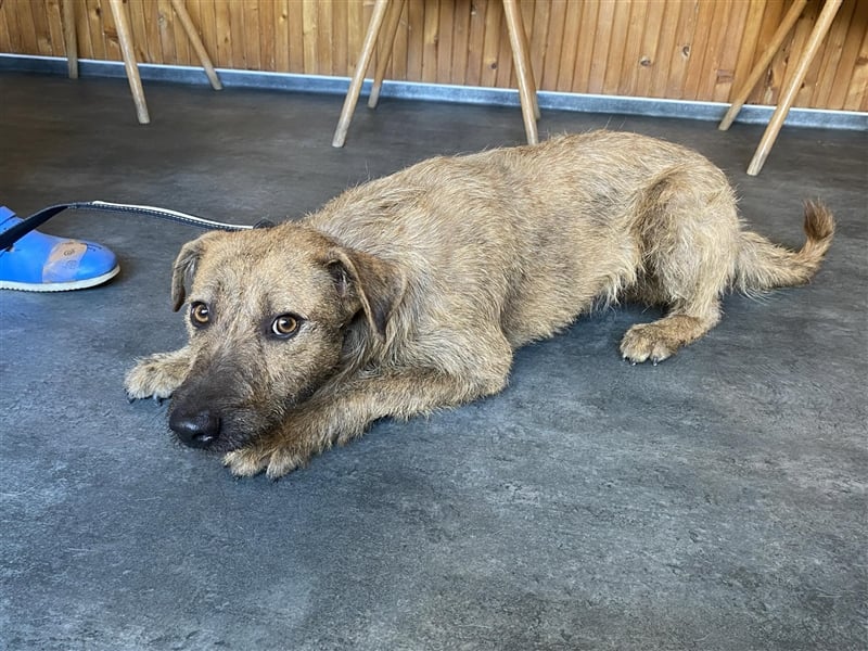 Bukta,möchte in seinem neuen Zuhause ankommen