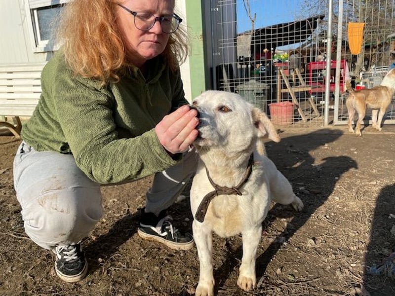Paul möchte auf der Reise in ein glückliches Leben begleitet werden