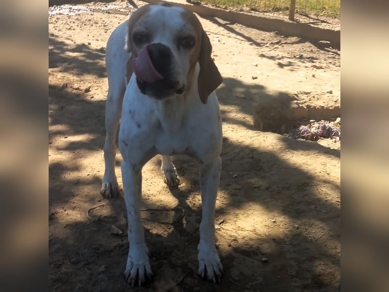 Odysseus sucht ein Zuhause