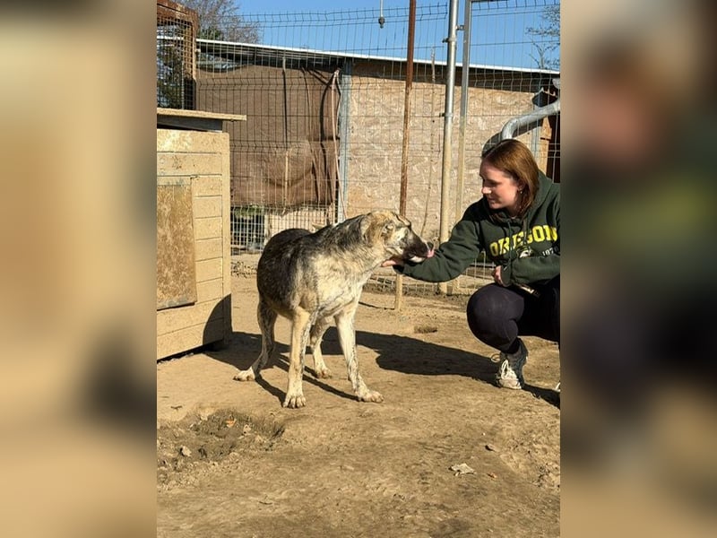 Nathan, aktiv und verspielt