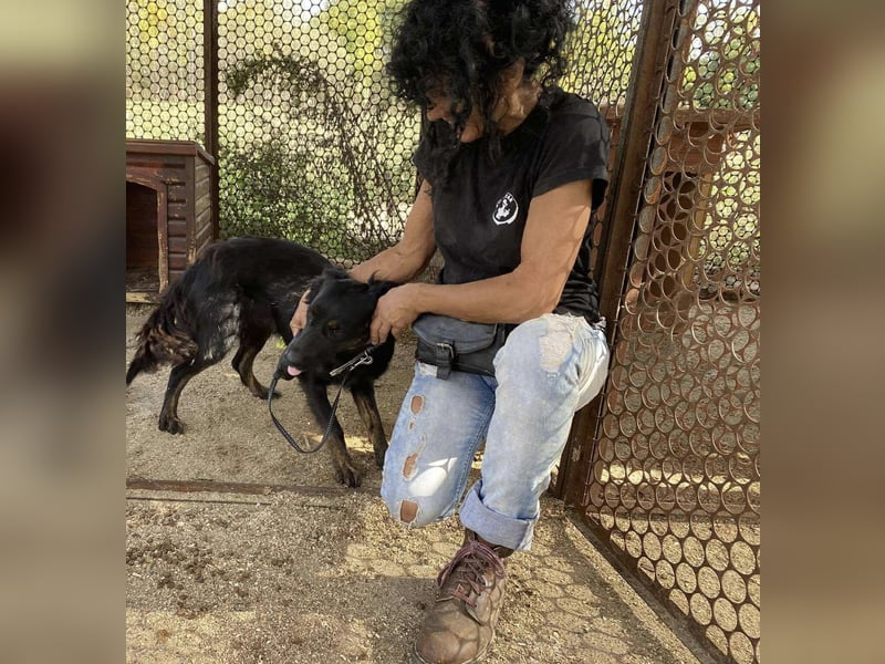 Liget, süße Hundemama sucht ihre Familie