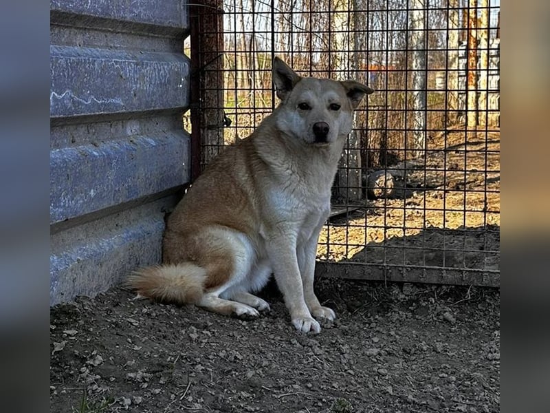 Csiriba, sucht dringend ein ruhiges Plätzchen