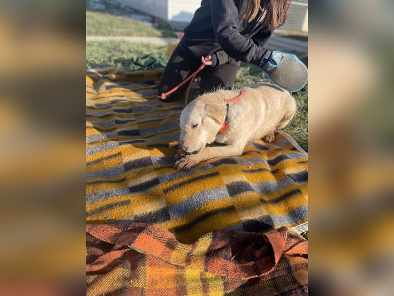 Haribo, arme Socke möchte nochmal glücklich sein