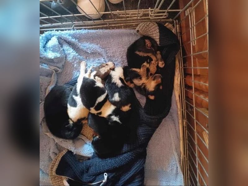 Tilda freut sich auf  dich!