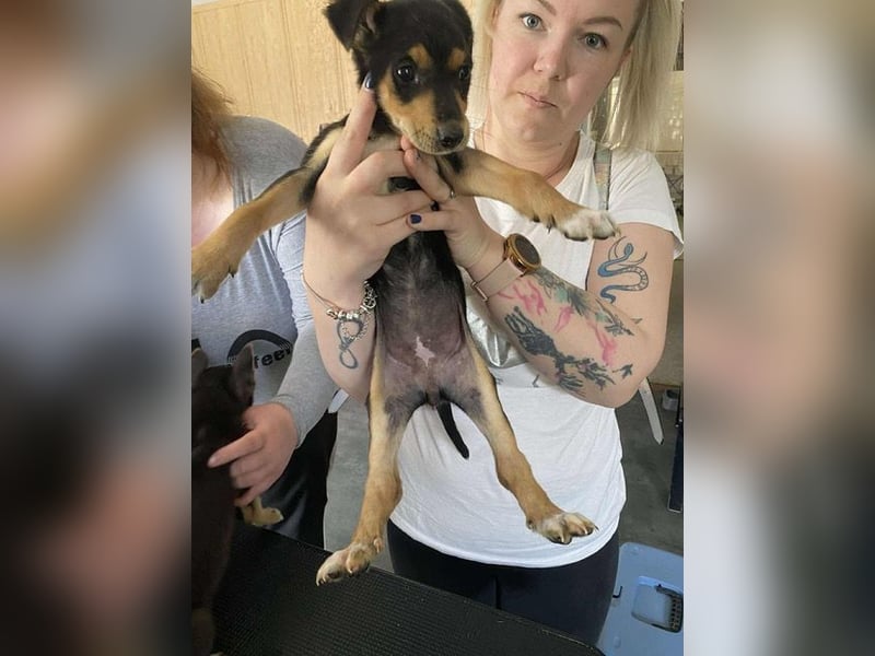 Tilda freut sich auf  dich!