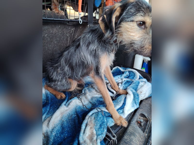 Türke hatte Glück im Unglück