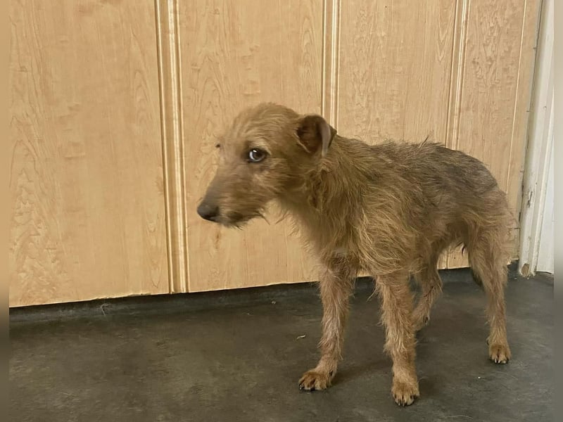 Berta, freundlich und unaufgeregt