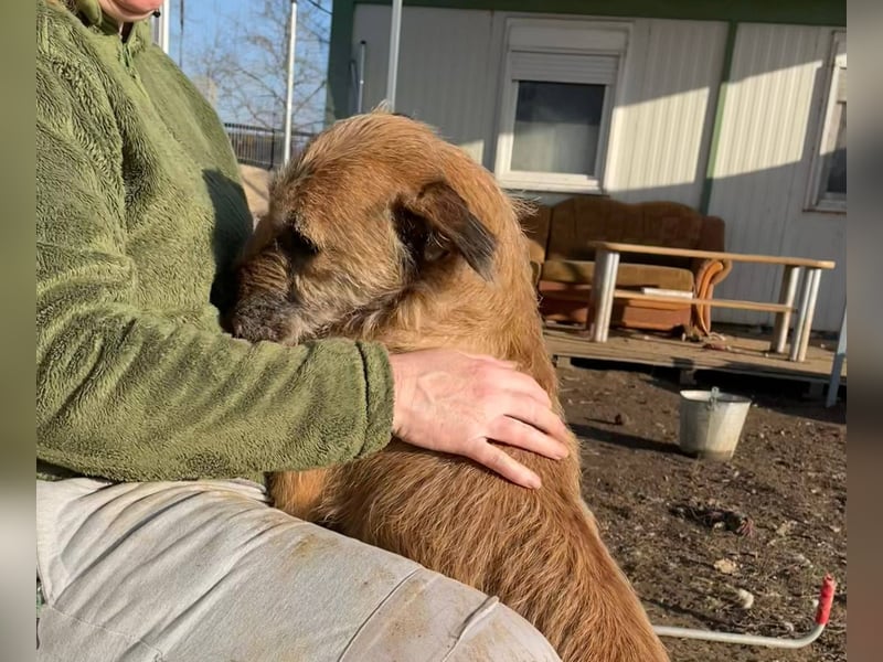 Getto, Kleiner Schmusebär sucht….