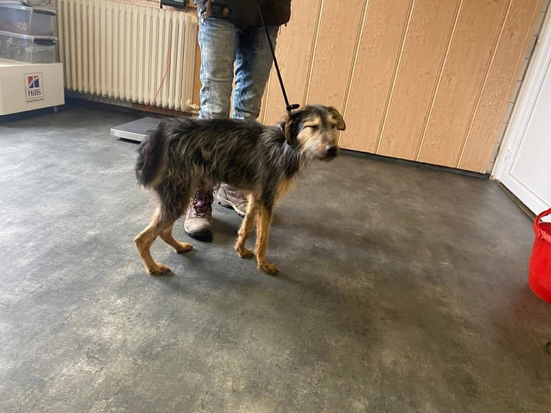 Türke hatte Glück im Unglück