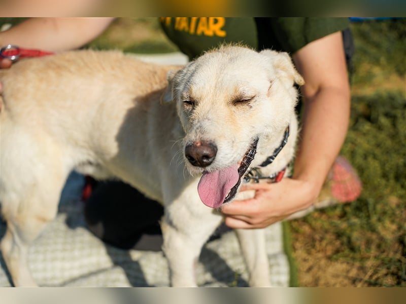 Haribo, arme Socke möchte nochmal glücklich sein