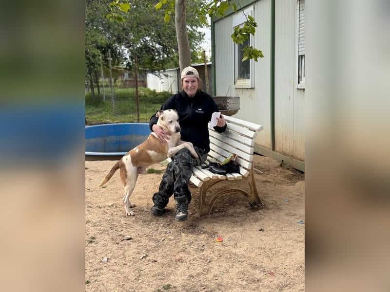 Miller sehnt sich so sehr nach seiner eigenen Familie