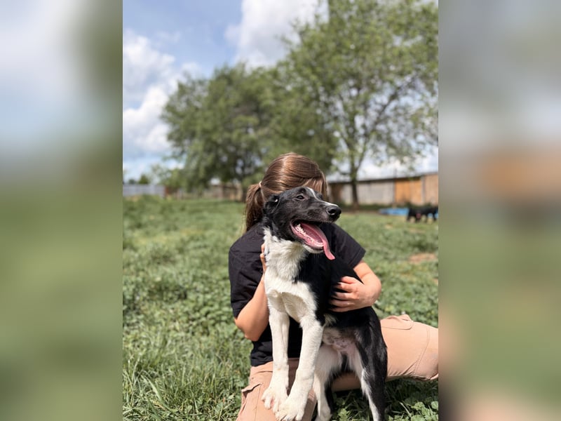 Budi sucht eine aktive Familie