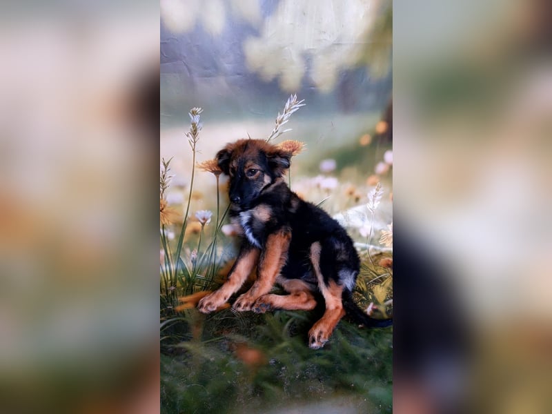 Elea sucht ihr zu Hause
