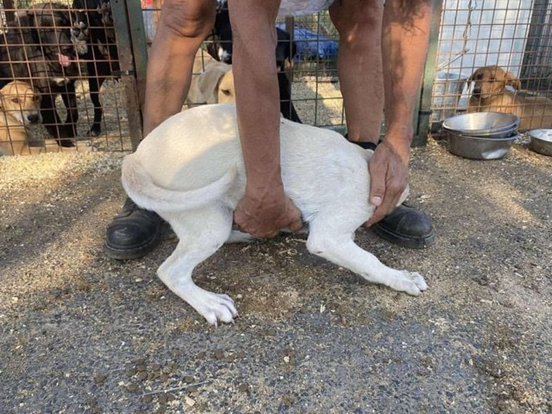 Naomi, aufgeweckt und aktiv