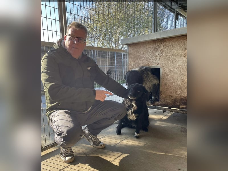 Morzsi, freundliche Seniorin sucht warmes Plätzchen