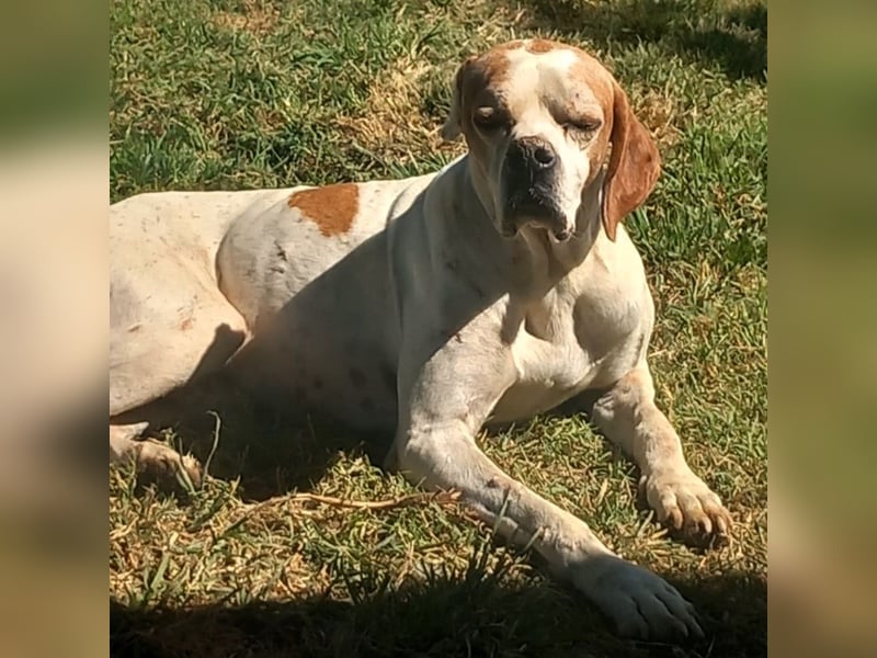 Odysseus sucht ein Zuhause