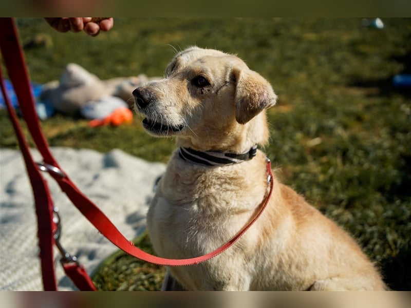 Haribo, arme Socke möchte nochmal glücklich sein
