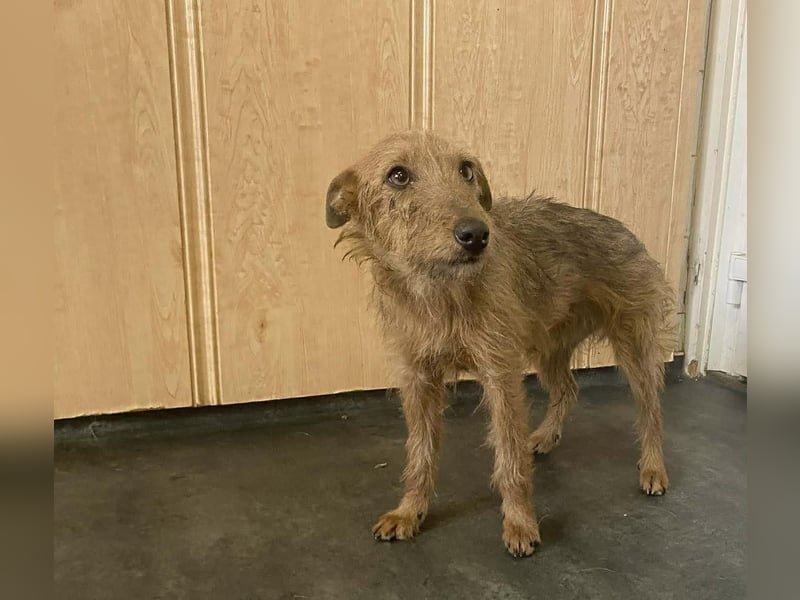 Berta, freundlich und unaufgeregt