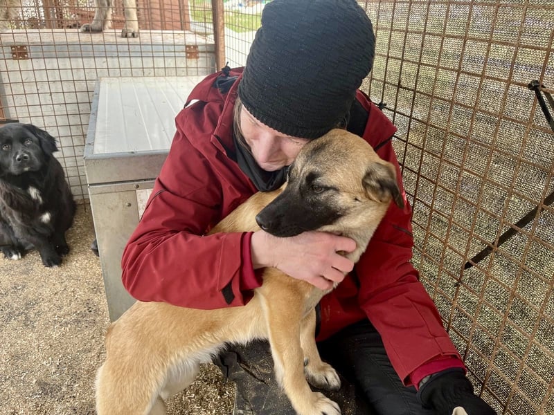 Lukretia sucht liebevolles Zuhause