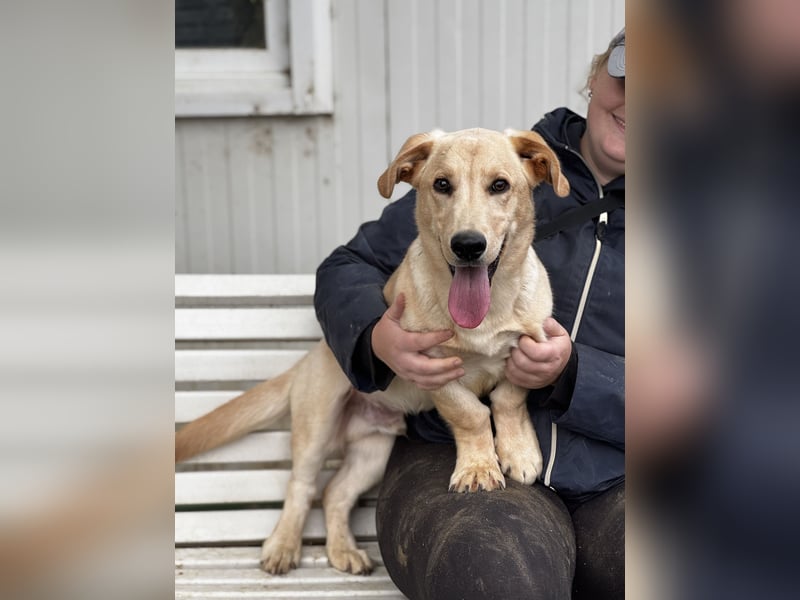 Labtacs, so süß und verschmust