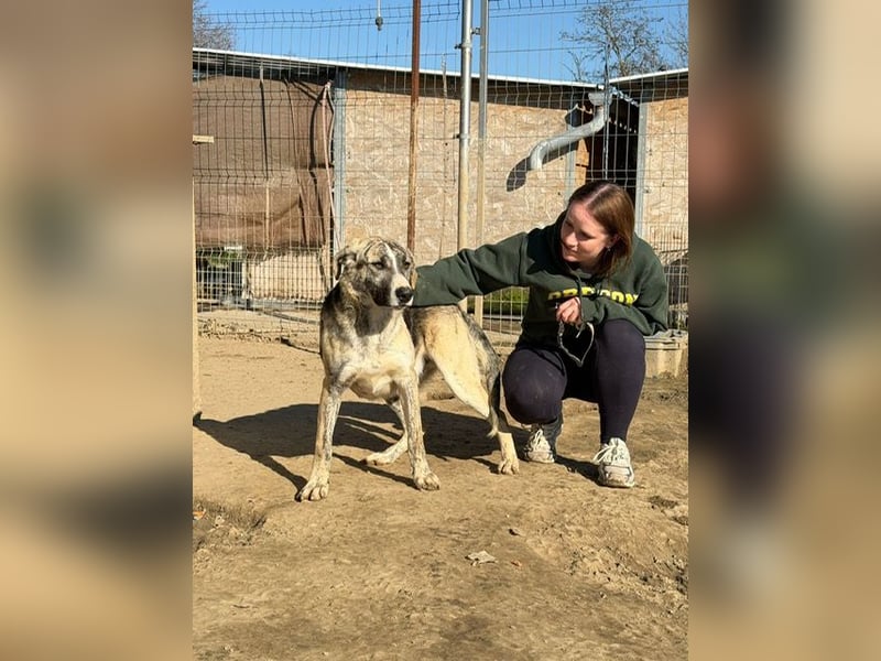 Nathan, aktiv und verspielt