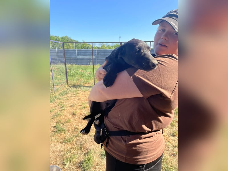 Vadim freut sich auf Euch!