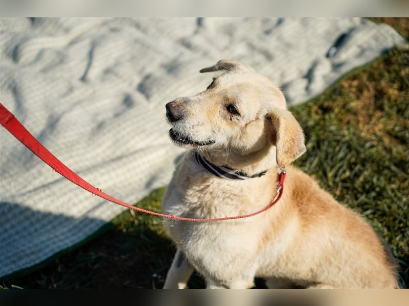 Haribo, arme Socke möchte nochmal glücklich sein