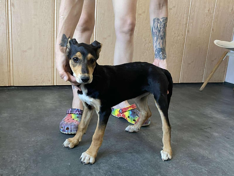 Tilda freut sich auf  dich!