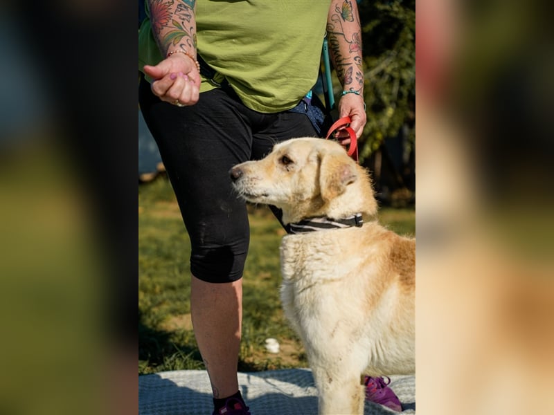 Haribo, arme Socke möchte nochmal glücklich sein