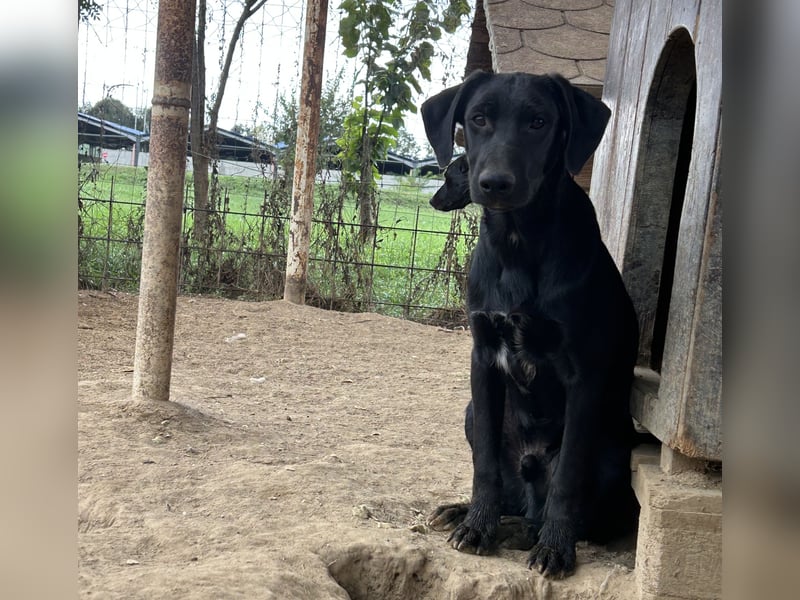 Vadim freut sich auf Euch!