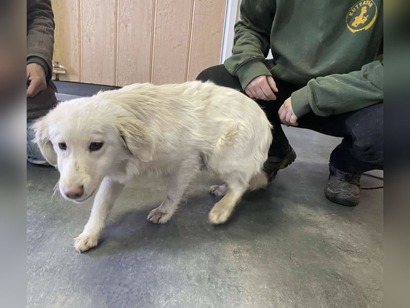 Marie, süße Maus freut sich auf eine eigene Familie