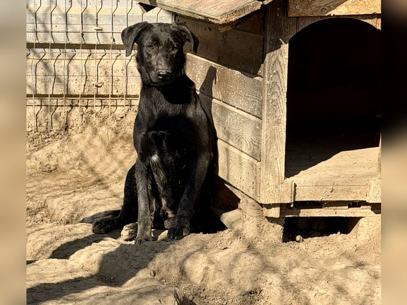 Vadim freut sich auf Euch!