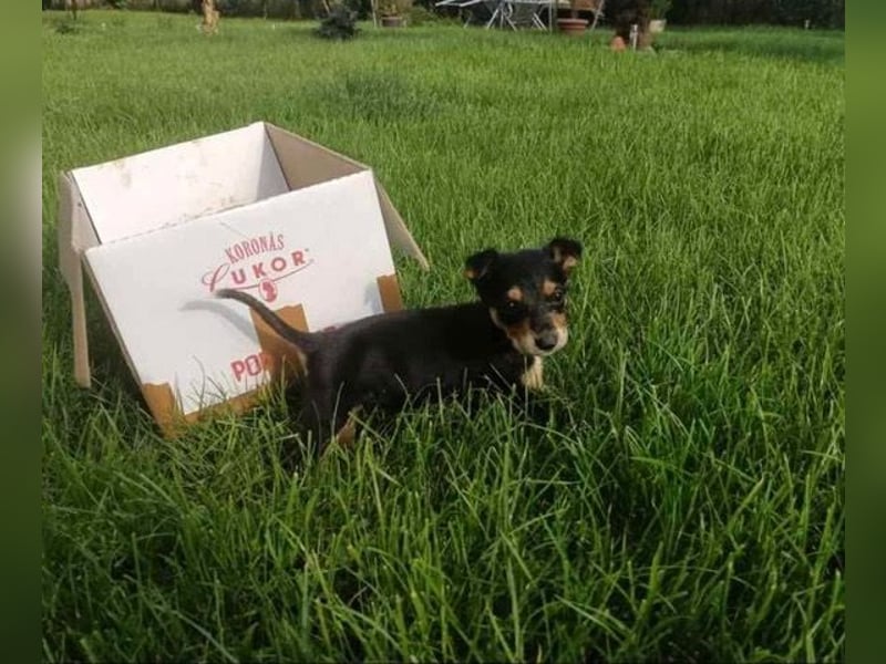 Tilda freut sich auf  dich!