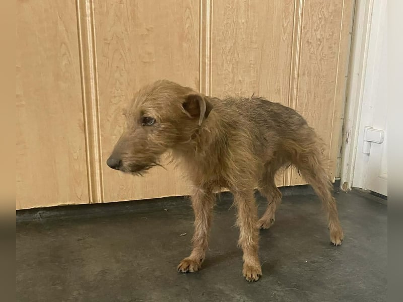 Berta, freundlich und unaufgeregt