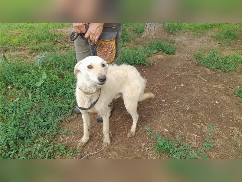 Haribo, arme Socke möchte nochmal glücklich sein