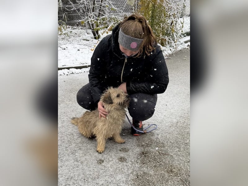 Kadarka, süß, freundlich und zutraulich