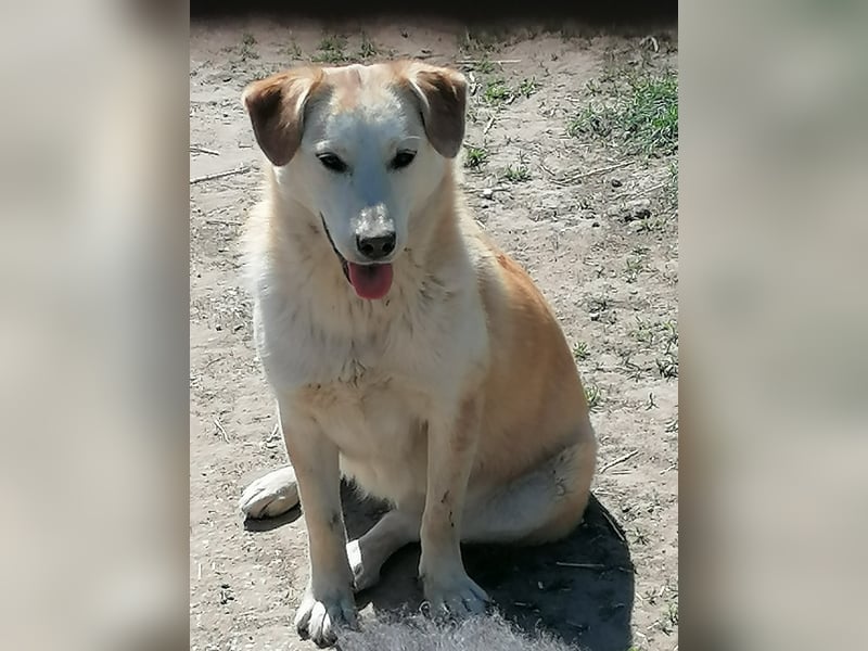 Zamira, eine von vielen Geschwisterchen