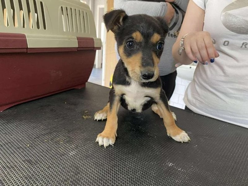 Tilda freut sich auf  dich!