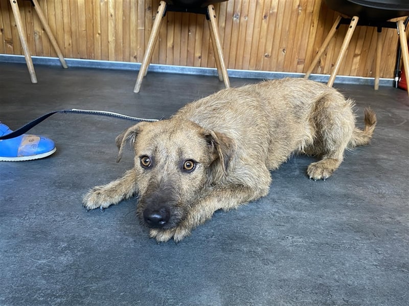 Bukta,möchte in seinem neuen Zuhause ankommen