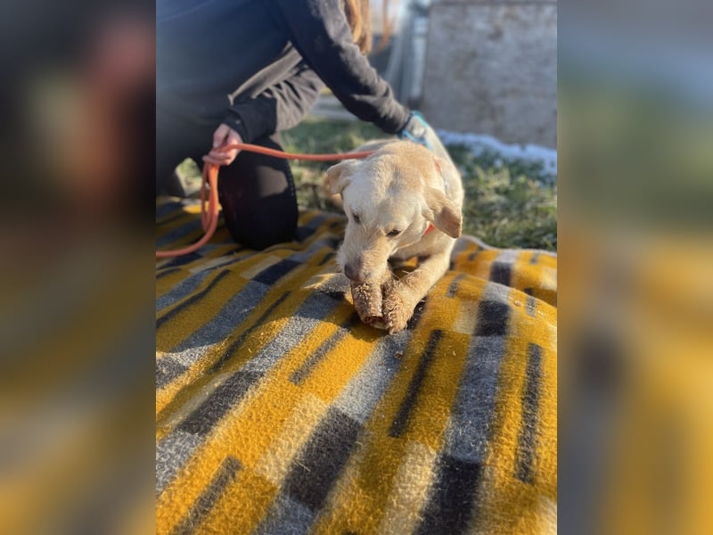 Haribo, arme Socke möchte nochmal glücklich sein