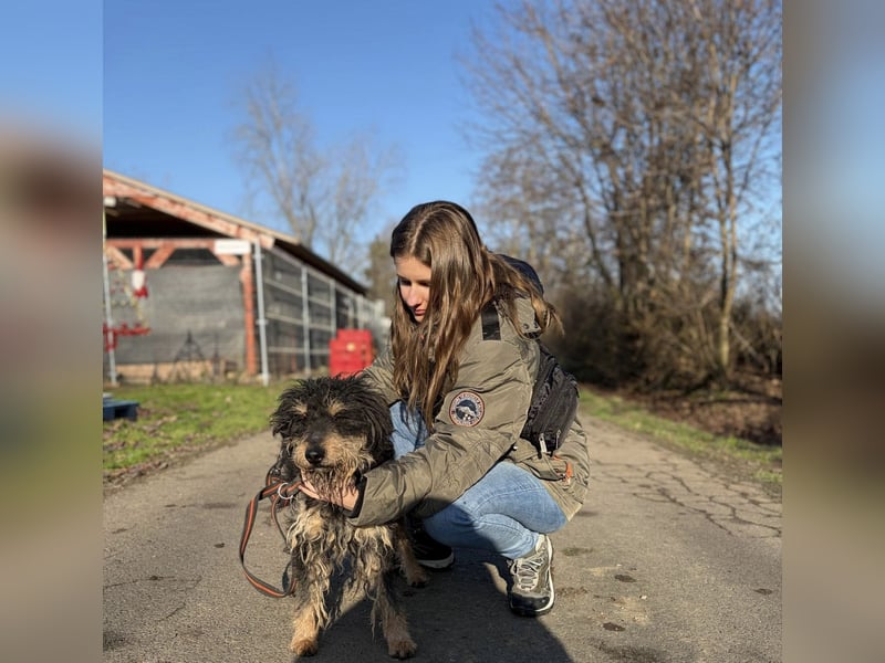 Bruno, freundlich und aktiv