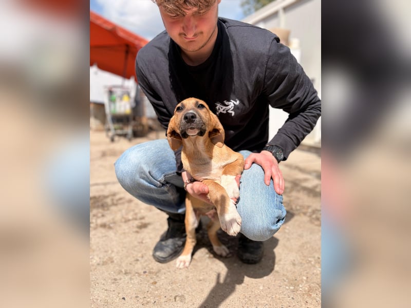Dobby möchte die Welt entdecken